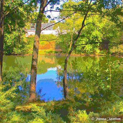 Detail view of Turner's Pond art print featuring trees, landscape and water reflections with dappled late afternoon sunlight